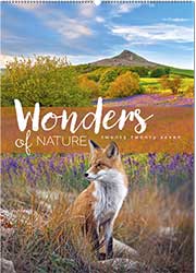 Wonders of Nature Brunel Wall  Calendar